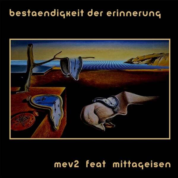 Cover art for bestaendigkeit der erinnerung